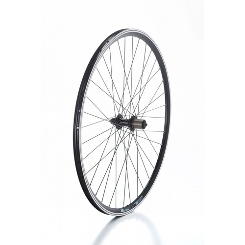 Ruota posteriore mtb - ruota,